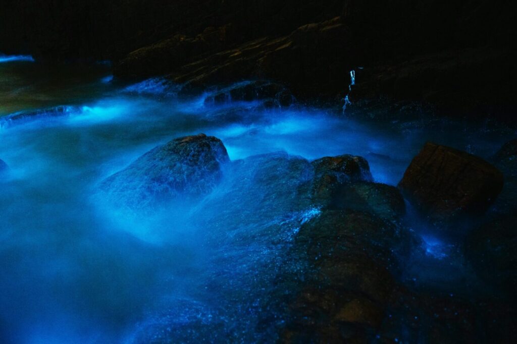 Captivating view of bioluminescent water illuminating rocks in a dark, serene setting.