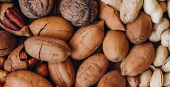 brown and beige nut lot