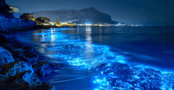 ai generated, ocean, sea, beach, night, waves, water, seascape, bioluminescence, glow, microorganisms, blue, algae