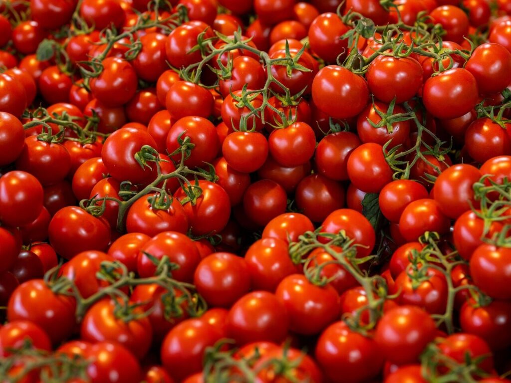 tomatoes, desktop backgrounds, cherry tomatoes, wallpaper 4k, mac wallpaper, vegetables, fruits, laptop wallpaper, 4k wallpaper 1920x1080, food, organic, free wallpaper, full hd wallpaper, wallpaper hd, fresh, healthy, harvest, windows wallpaper, hd wallpaper, beautiful wallpaper, background, 4k wallpaper, nutrition, free background, cool backgrounds, vitamin, red