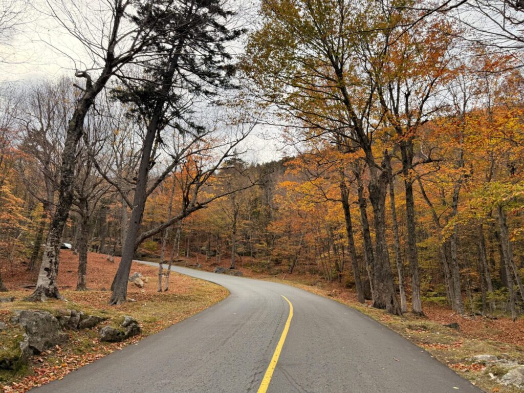 Fall colors in New Hampshire