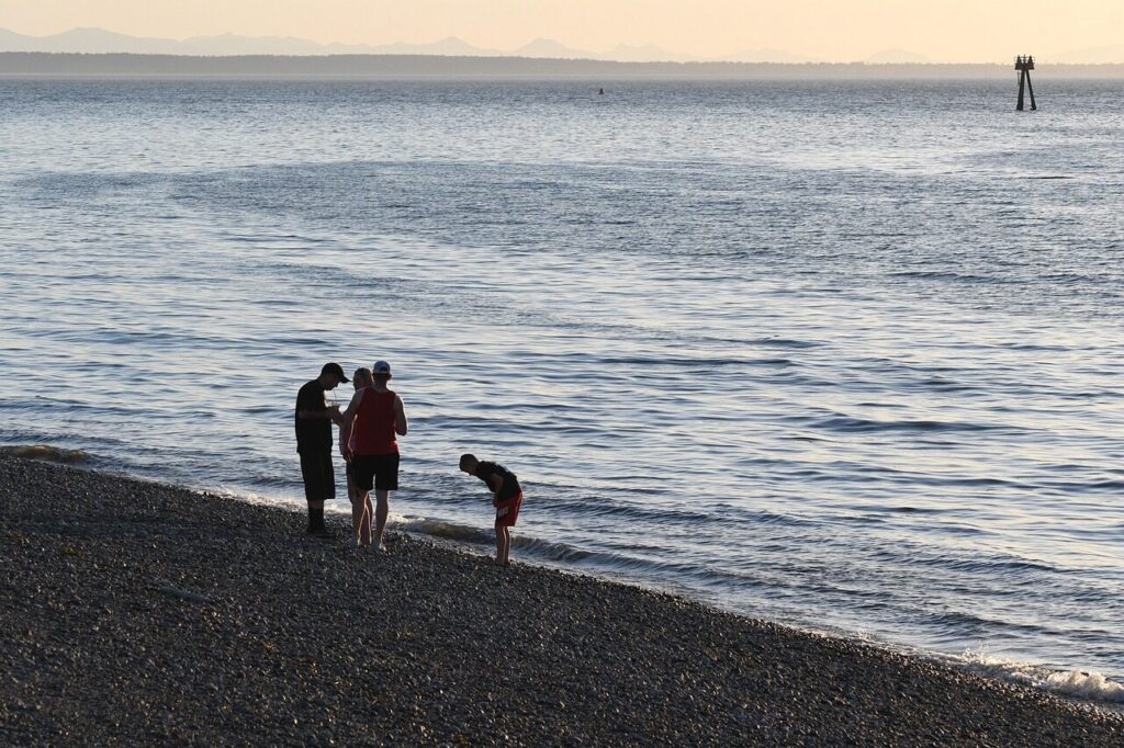 beach, ocean, sunset, water, people, spring, nature, sea