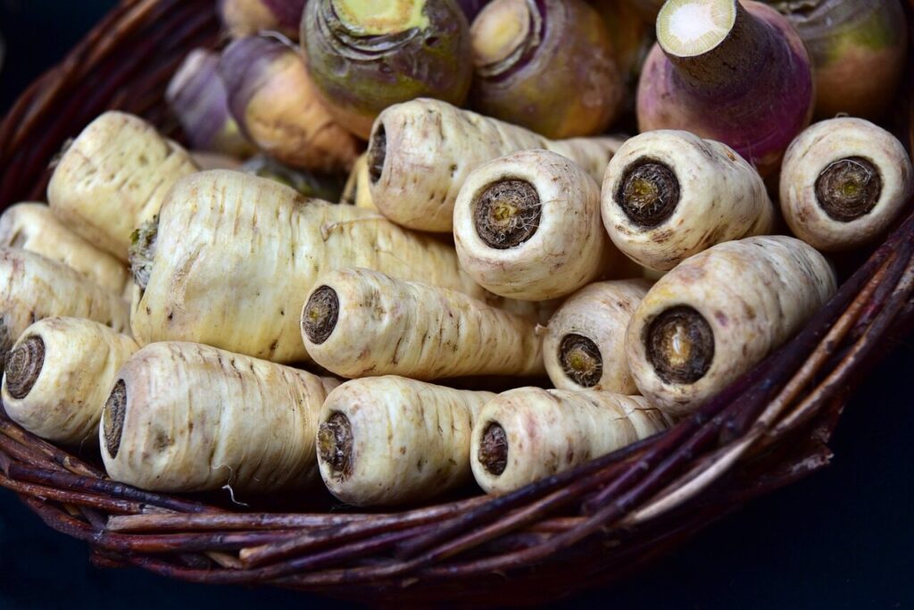 parsnips, root vegetable, parsley root, vegetables, food, meal, healthy, market, vegetarian, raw, nourishment, tasty, nature, enjoy, parsnips, parsnips, parsnips, parsnips, parsnips