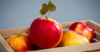 the fruit, apple, food, healthy, health