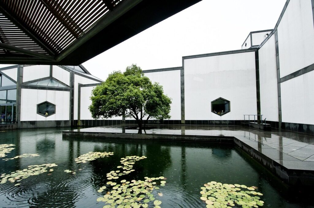 suzhou museum, pool, rainwater, design, window, tree, nature, water lotus