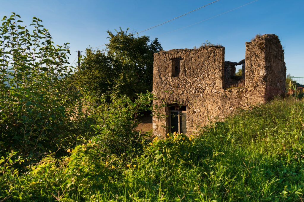 Overgrown ruins of a stone building in sunlight
