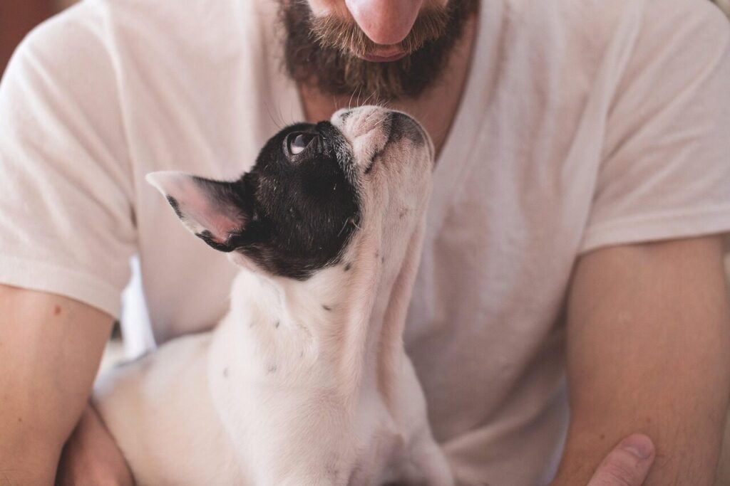 animals, nature, dogs, friendship, pets, eyes, muzzle, adorable, miniature, man, male, people, owner, love, love wallpaper