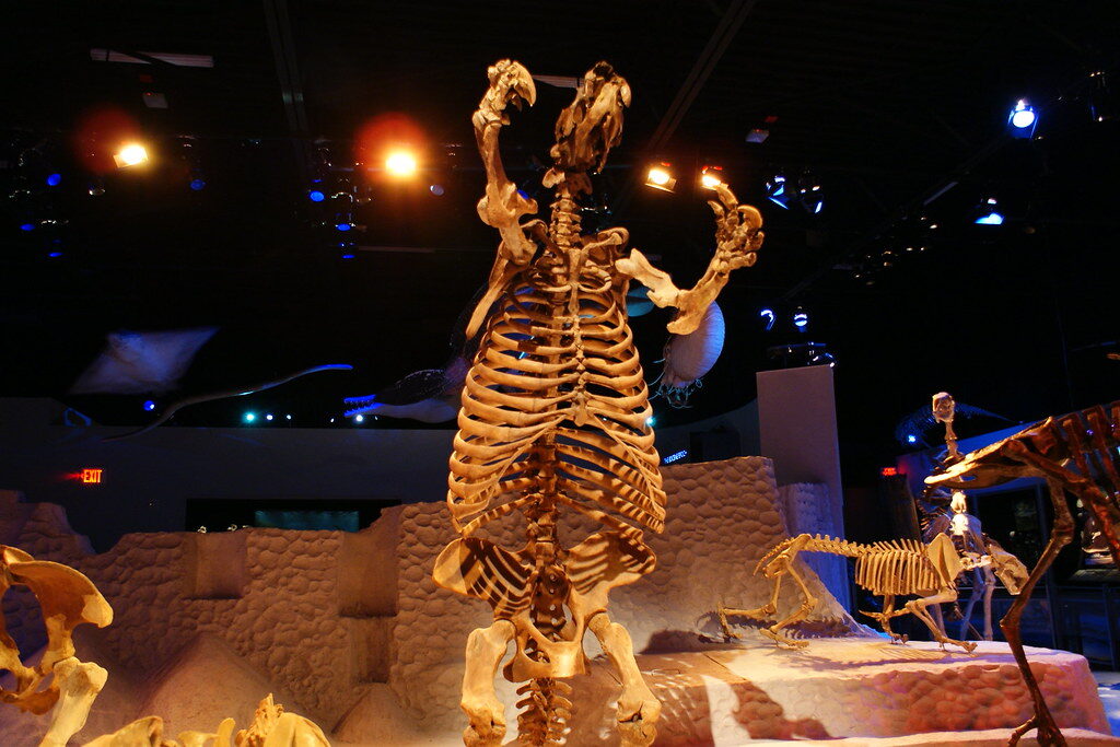 Giant Ground Sloth (Thinobadistes segnis)