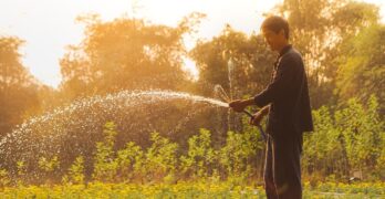 vietnam, man, gardening, watering plants, everyday life, portrait, nature, vietnamese, gardening, gardening, gardening, gardening, gardening