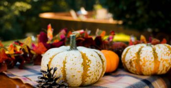 white and orange pumpkins