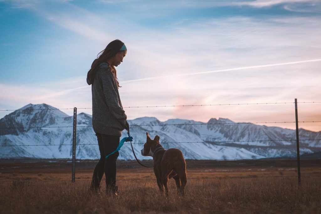 dog, girl, animal, fence, pet, nature, owner, companion, friend, friendship, field, landscape, mountain, outdoors, woman, young woman, walk the dog, leash, dog leash