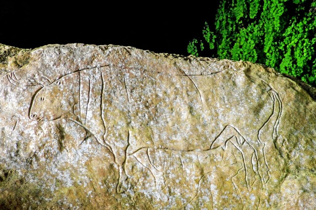 cave of the hermit, graffiti, paleolithic, bos primigenius, uro, primeval ox, prehistory, rock engraving, rock carvings, engraving, bovid, papasidero, calabria, italy, pollino national park, paleolithic, paleolithic, paleolithic, paleolithic, paleolithic