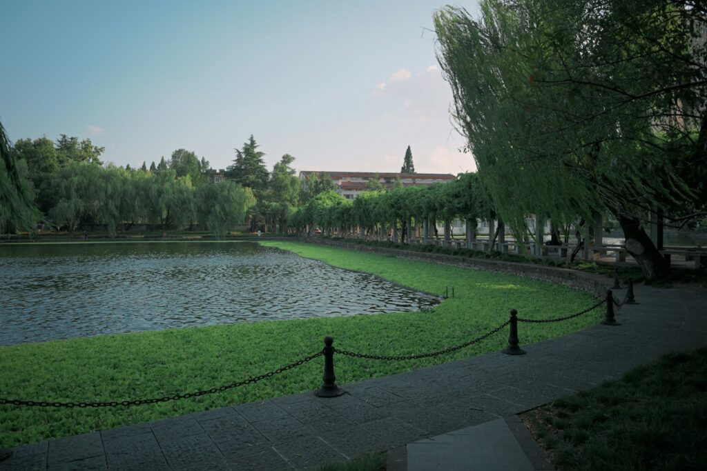 A tranquil park with a pond and trees