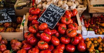 tomatoes, garlic, greens, market, outdoor, vegetables, food, fresh, healthy, red, harvest, delicious, groceries, agriculture, vegetarian, shopping, french culture, provence, tomatoes, market, market, market, groceries, shopping, shopping, shopping, shopping, shopping, provence
