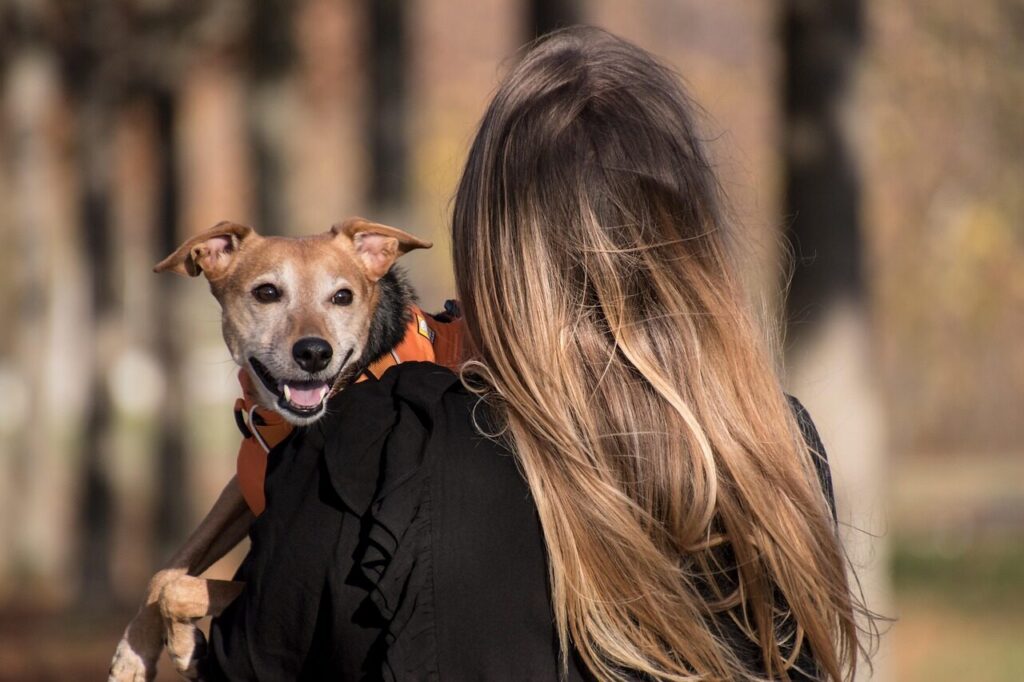 dog, pet, pet owner, nature, animal, owner, domestic dog, canine, harness, dog harness, mammal, cute, adorable, woman, female, outdoors