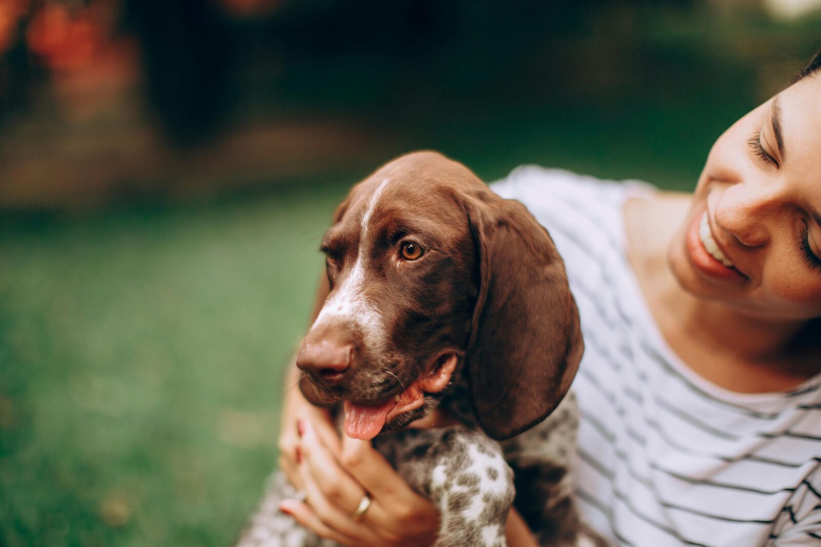 10 Dog Breeds That Form a Strong Bond with Just One Person | The WiC ...