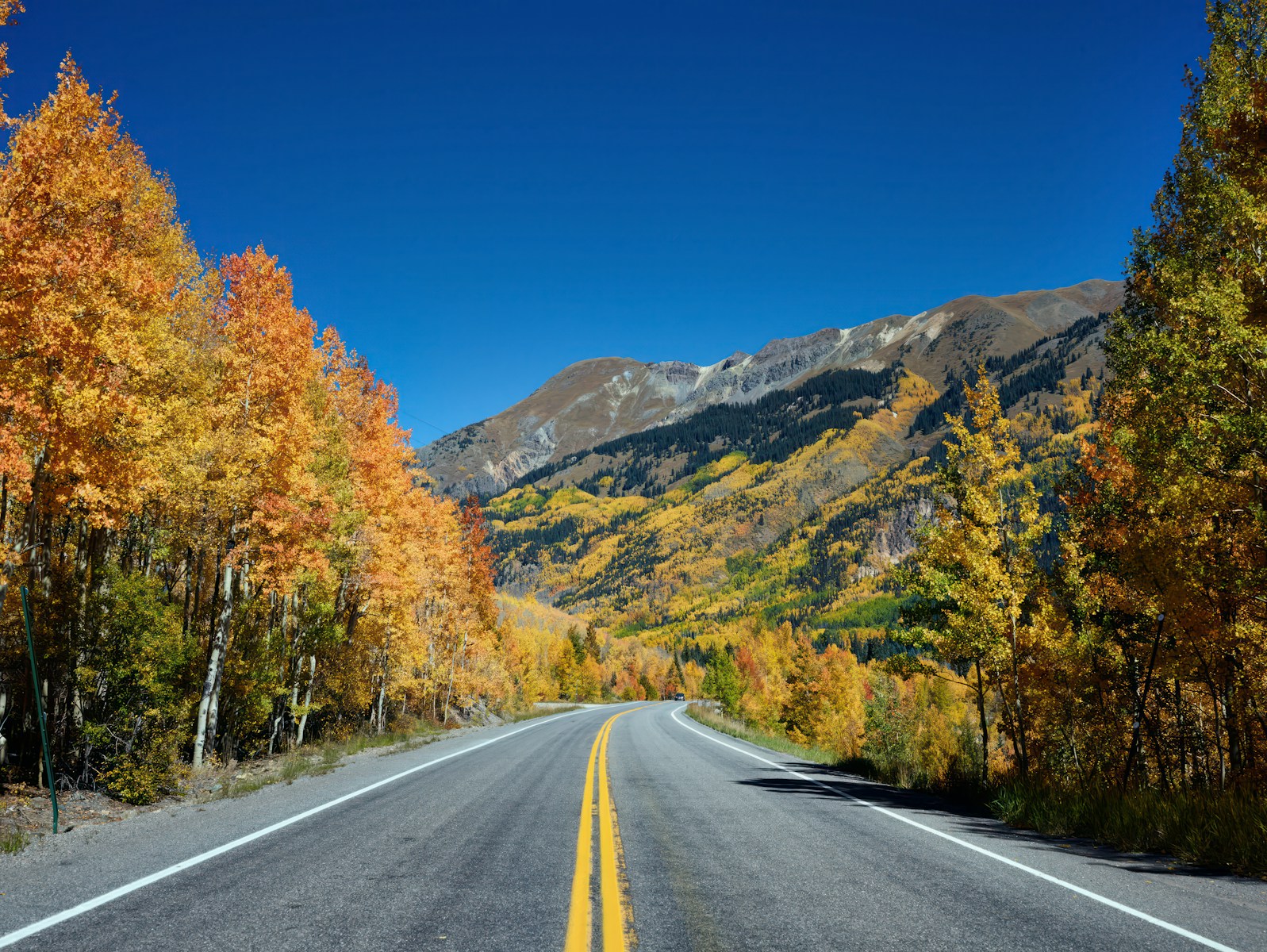 The Infamous Million Dollar Highway: Colorado’s Most Dangerous Drive ...