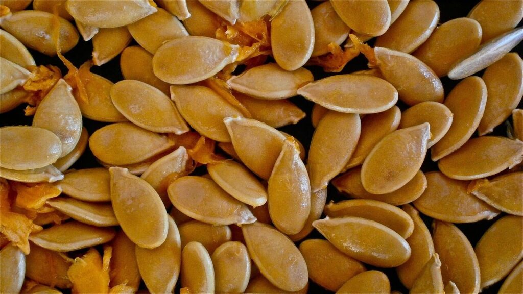 pumpkin, fruit, seed, vegetable, nature, pumpkin, pumpkin, pumpkin, pumpkin, pumpkin, seed