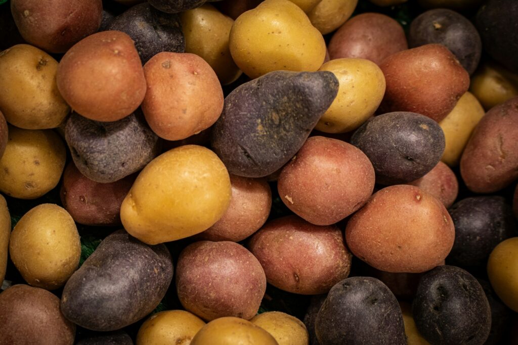 Various colorful potatoes are piled together.