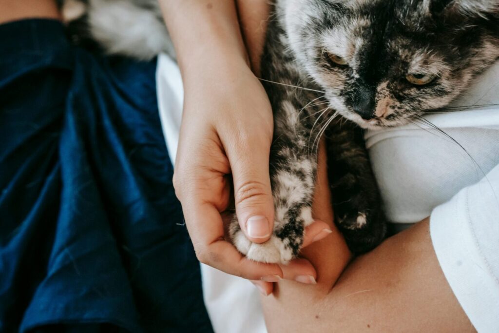 A woman gently holding a cat's paw, showcasing a tender moment of companionship.