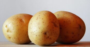 potatoes, potato, food, nature, agriculture, plant