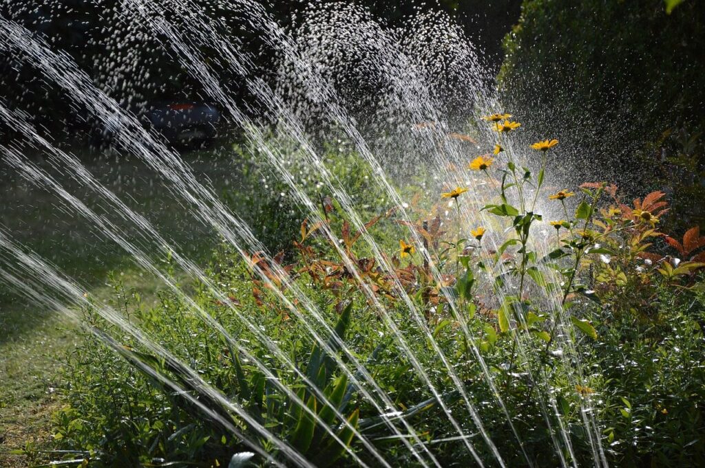 garden, nature, irrigation, water, sprinkler, waterdrop, artificially, splash
