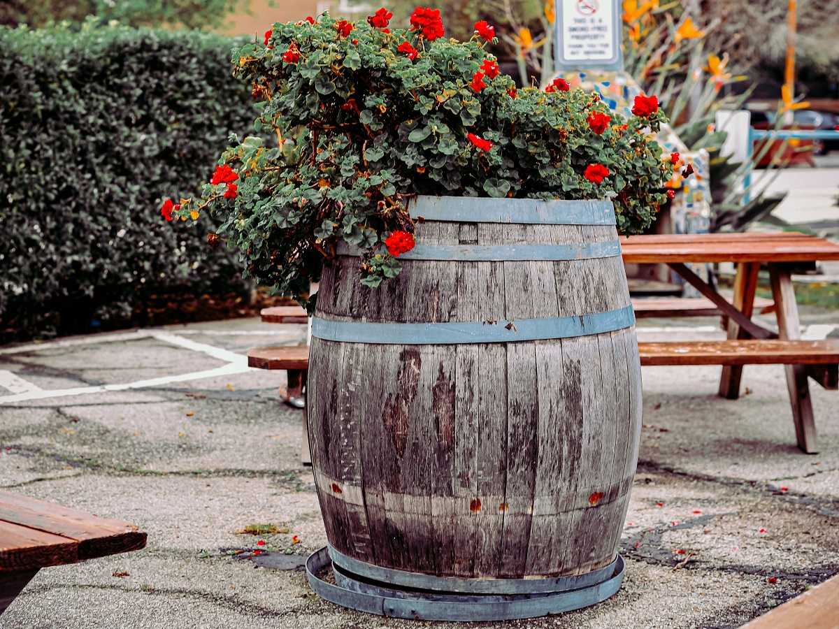Rustic Container 20 Unique Repurposed Containers Perfect for Your Garden | The WiC ...