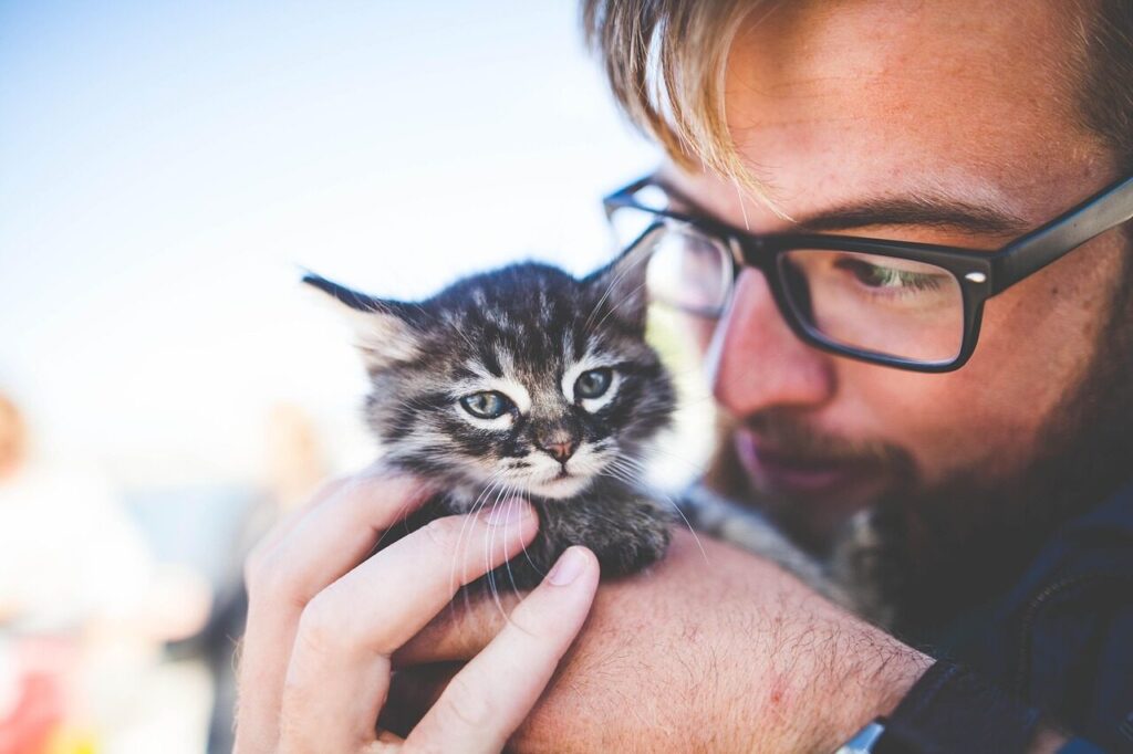 man, kitten, nature, pet, owner, kitty, tabby, cat, gray tabby, tabby cat, adorable, animal, cute, feline, caring, hands, holding, portrait