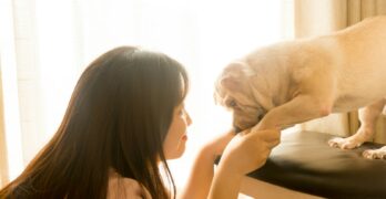 woman kissing brown short coated dog