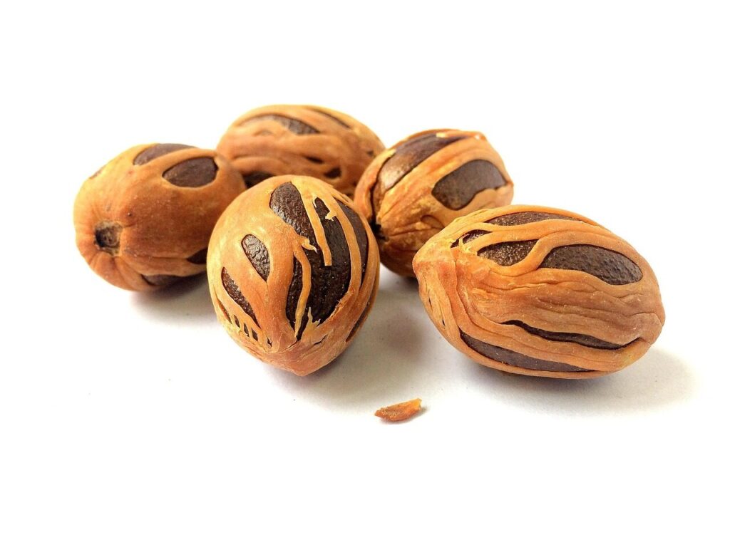 coconut, muskat, nutmeg, myristica fragrans, nutmeg, nutmeg, nutmeg, nutmeg, nutmeg