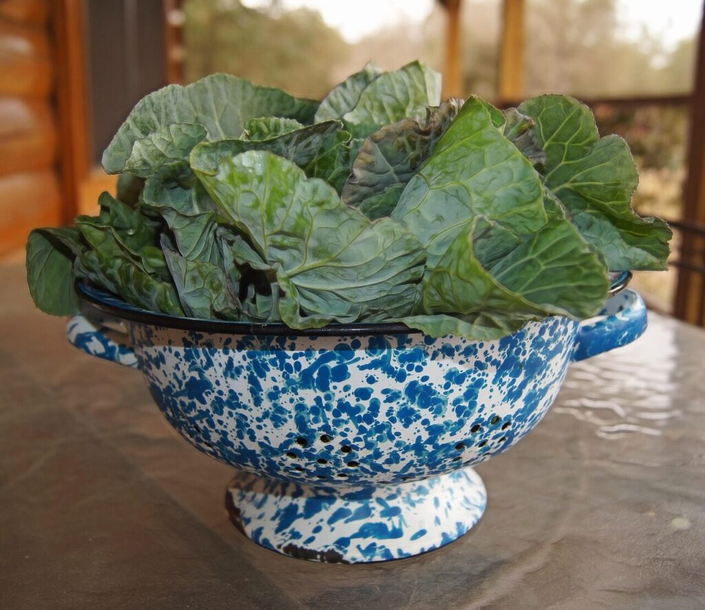 greens, collards, veggies, vegetable, farm, fresh, country, food, southern, organic, leafy, meal, healthy, vegetarian, soul food, nutrition, produce, agriculture, garden, plant, nature, bunch, brown food, brown vegetables, brown garden, brown healthy, brown farm, brown gardening, brown nutrition, brown soul