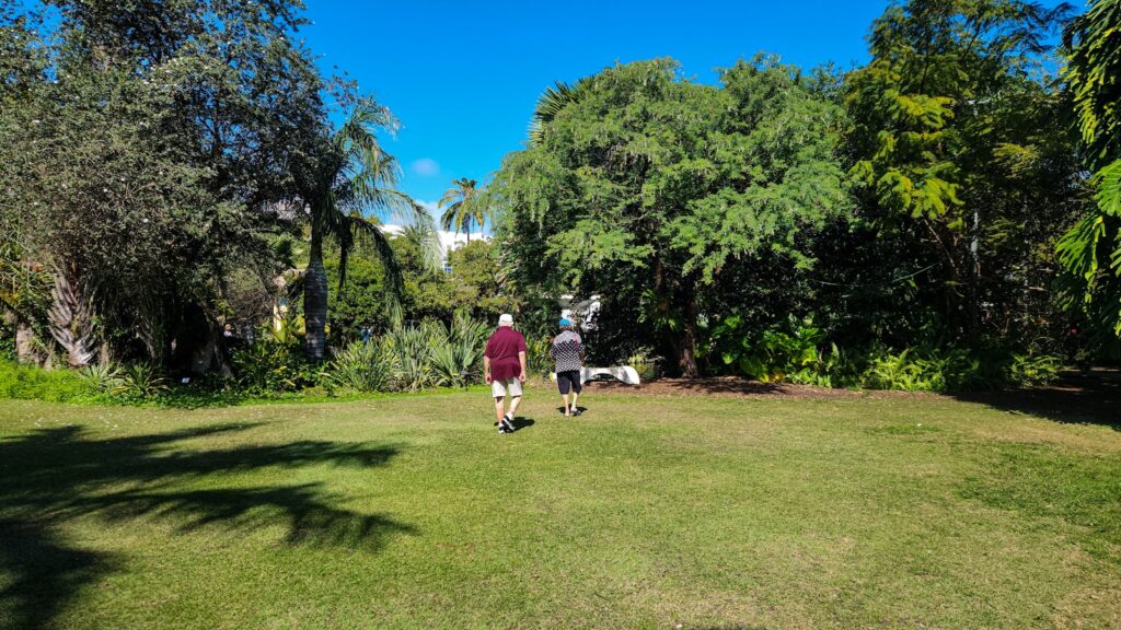 A man and a dog are walking in the grass