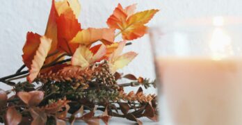 a plant with orange leaves