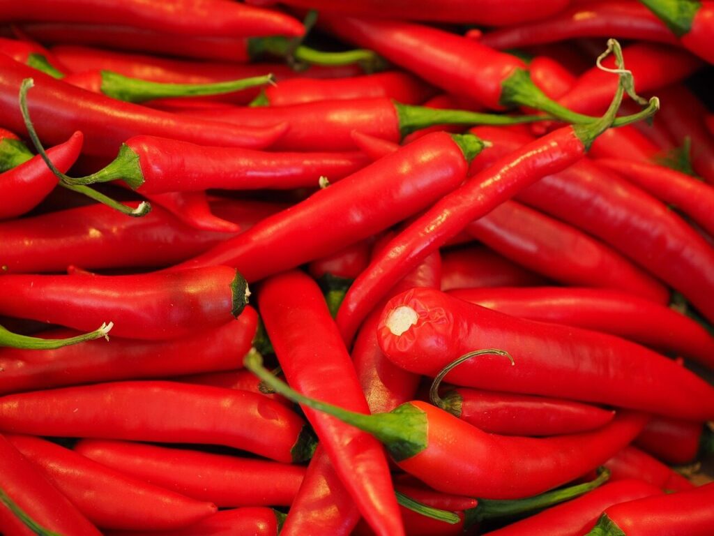 chili, red, sharp, seasoning, chilli pepper, hot peppers, pods, nightshade plant, food, paprika, chili peppers, fiery, capsicum, pod, vegetables, capsaicin, vitamins, market, market fresh vegetables, capsaicin, capsaicin, capsaicin, capsaicin, capsaicin