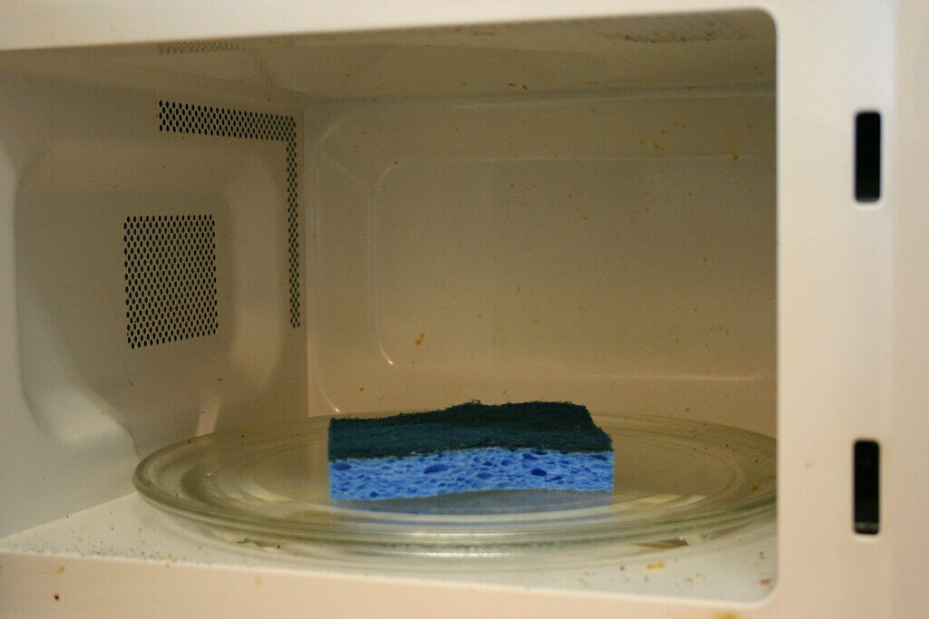 Microwaving a sponge