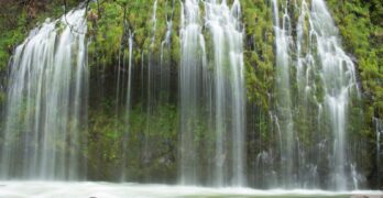 water falls with rocks and trees