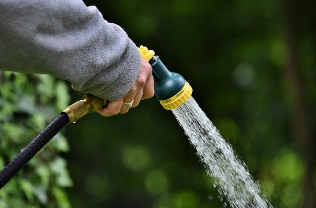 water jet, shower, to water, nature, water, garden, hand, hose