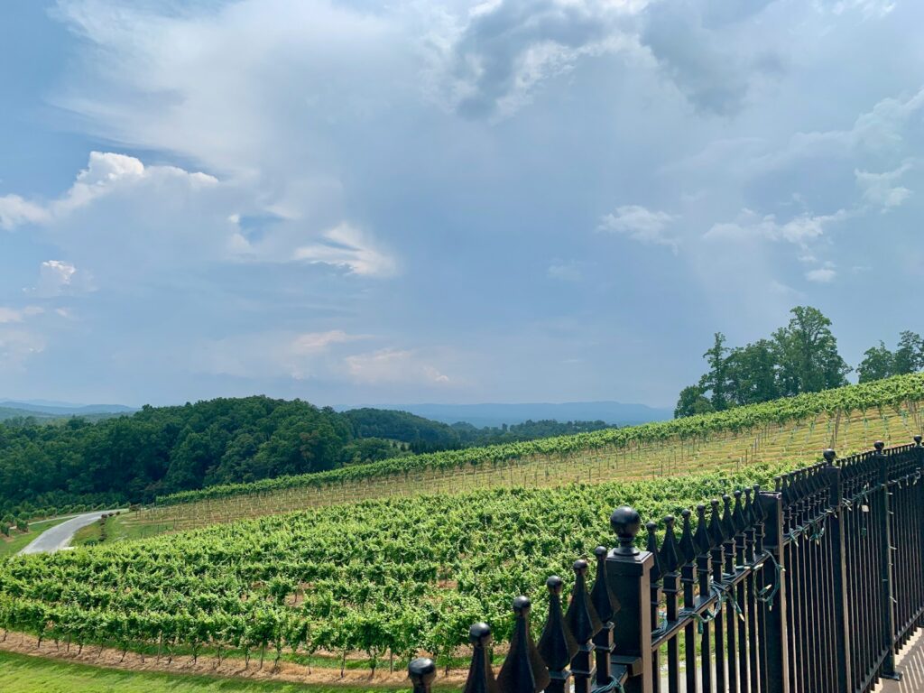 a black iron fence in front of a lush green field