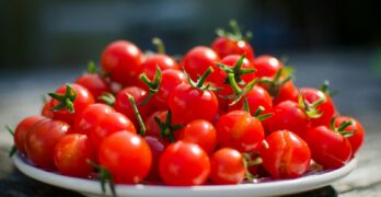red cherry tomatoes on a plate