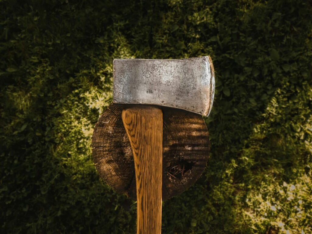 Close-up of a wooden-handled axe in a tree stump, surrounded by grass.
