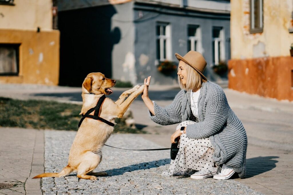 girl, dog, pet, friendship, companion, owner, nature, caucasian, blonde, caucasian female, blonde female, canine, domestic dog, doggy, happy, animal, love, woman, cute, puppy