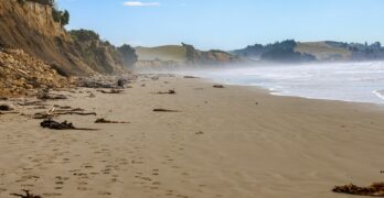 Beach and bluffs under a hazy, sunny sky.