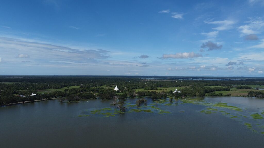 a large body of water surrounded by trees