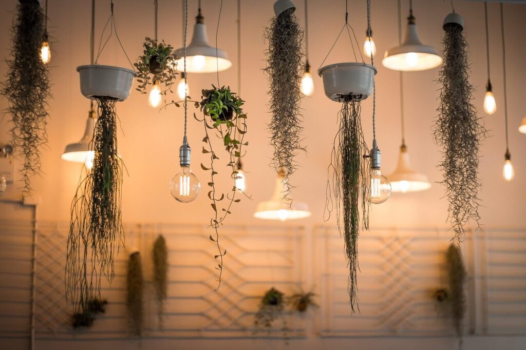 lights, decoration, illuminated, interior design, nature, plants, light bulbs, hanging plants, incandescent, lighting, interior decoration
