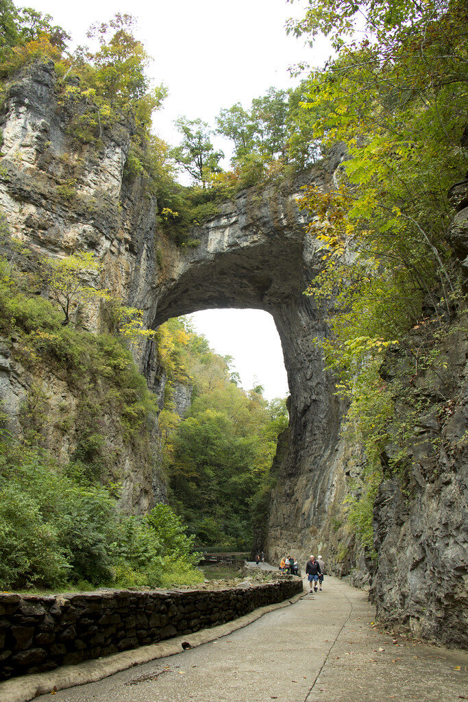 Virginia State Park Bridge