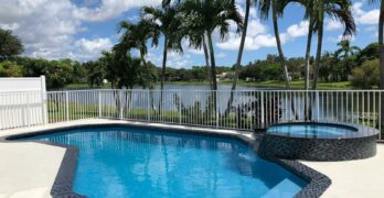 swimming pool near palm trees during daytime