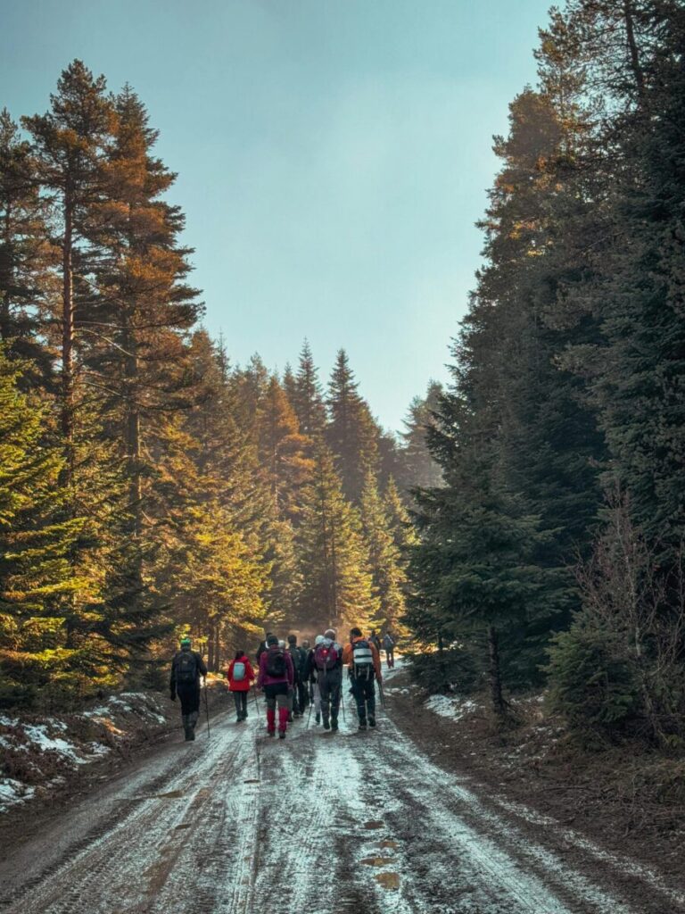 A group of hikers exploring a scenic forest trail in Sakarya, Türkiye under a clear sky.