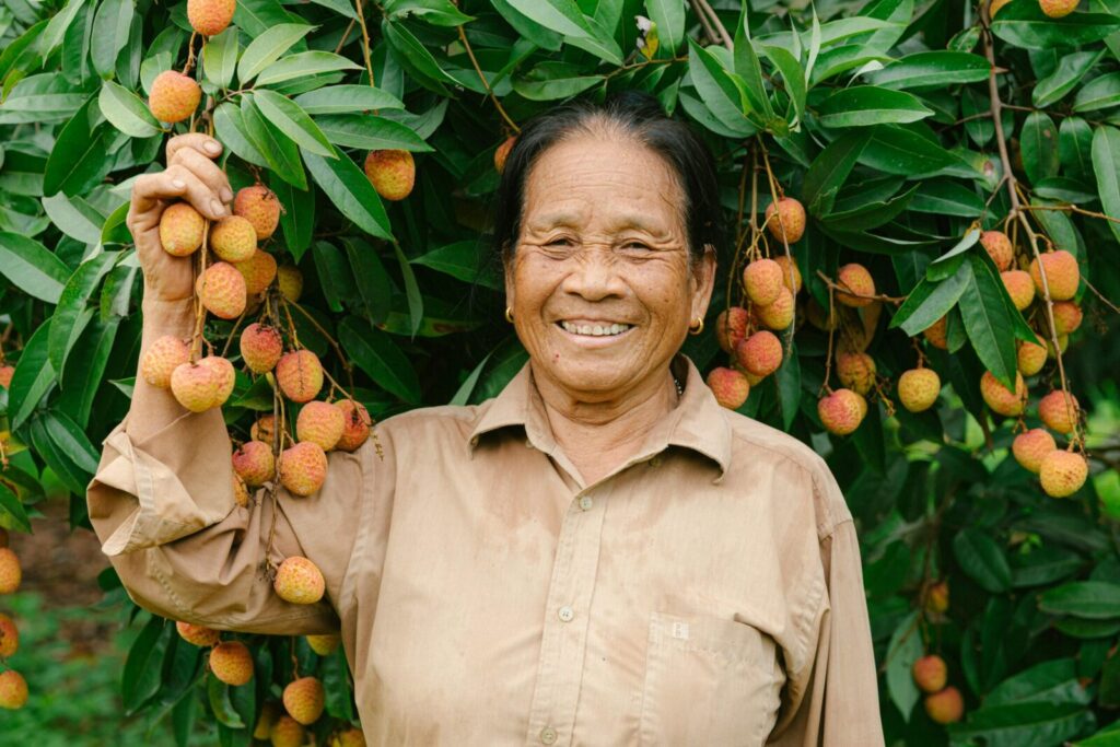 A smiling senior woman holding a bunch of ripe lychees in a lush orchard.
