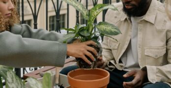 Two friends enjoy urban gardening on a balcony, planting in terracotta pots.