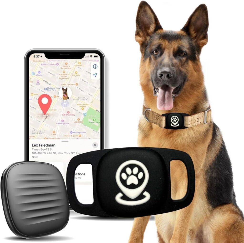 Smart Pet Tracker with Gem Accents